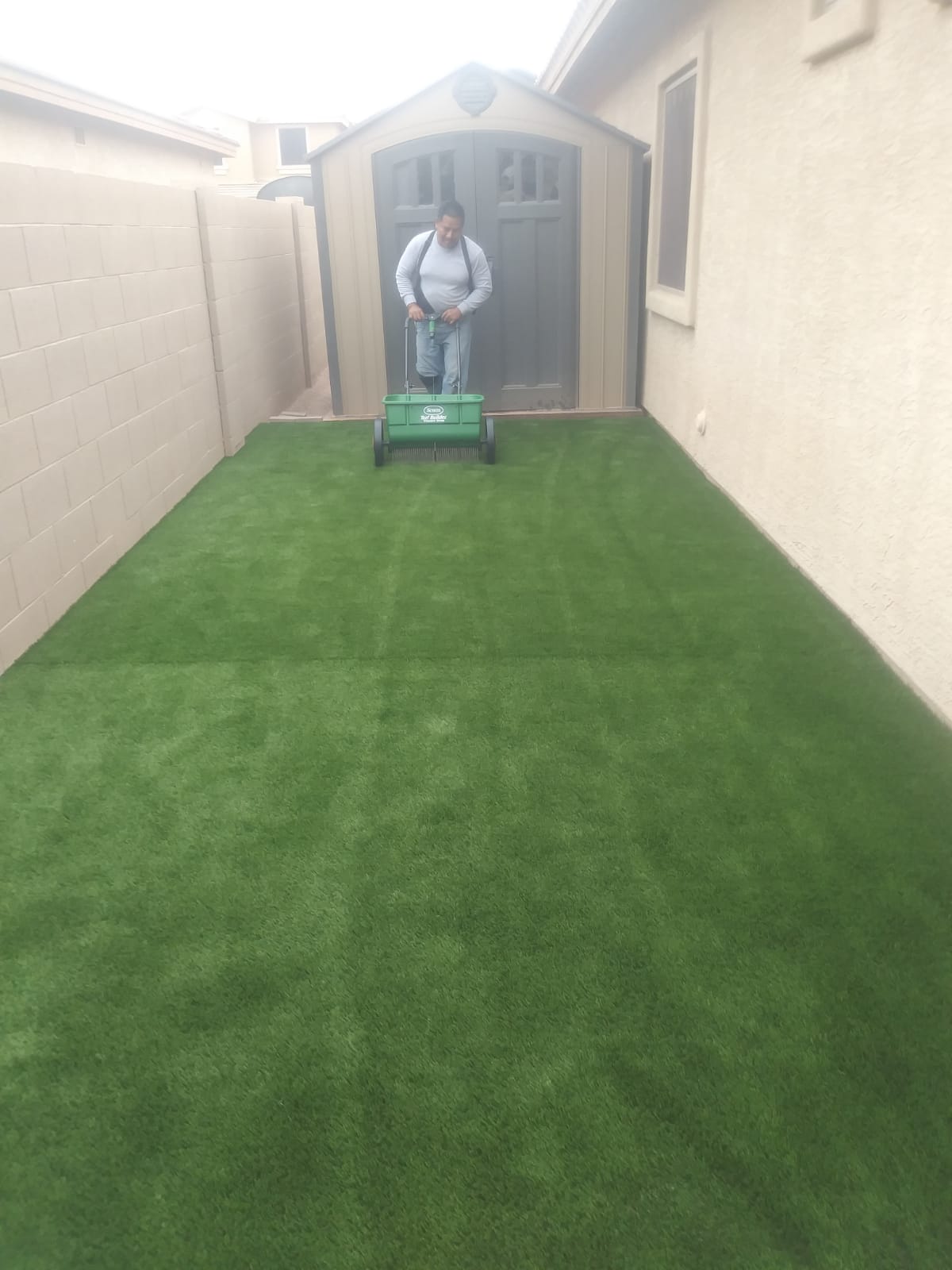 Fresh grass installation on a residential property