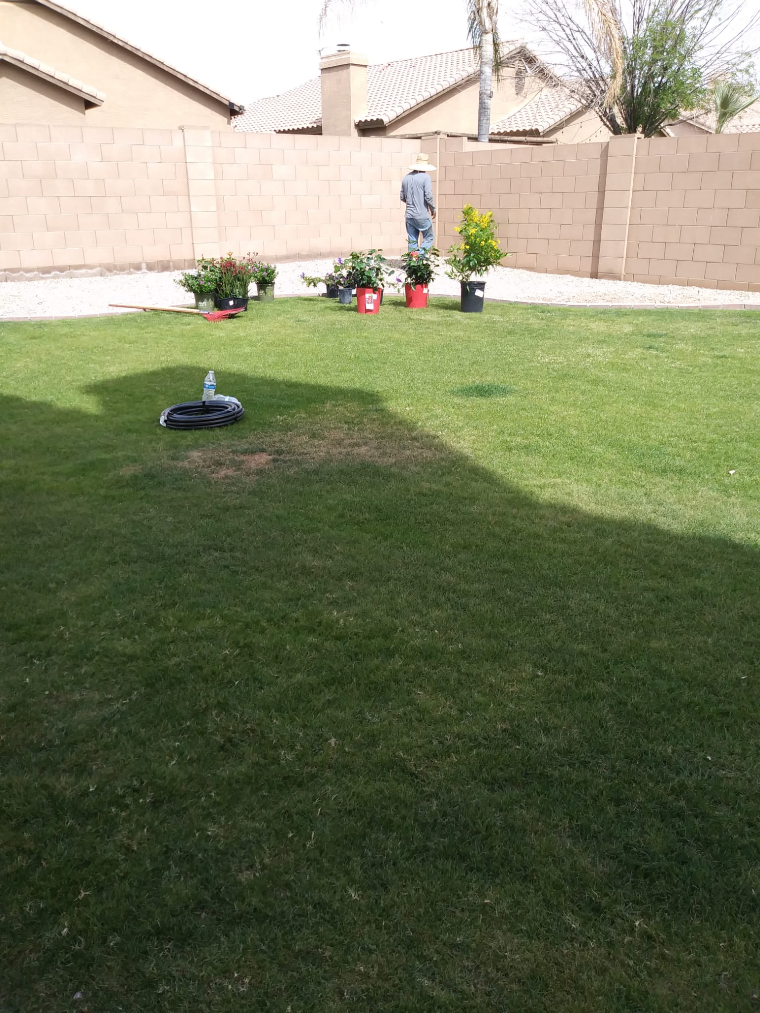 Grass installation project by Zion Landscaping Services