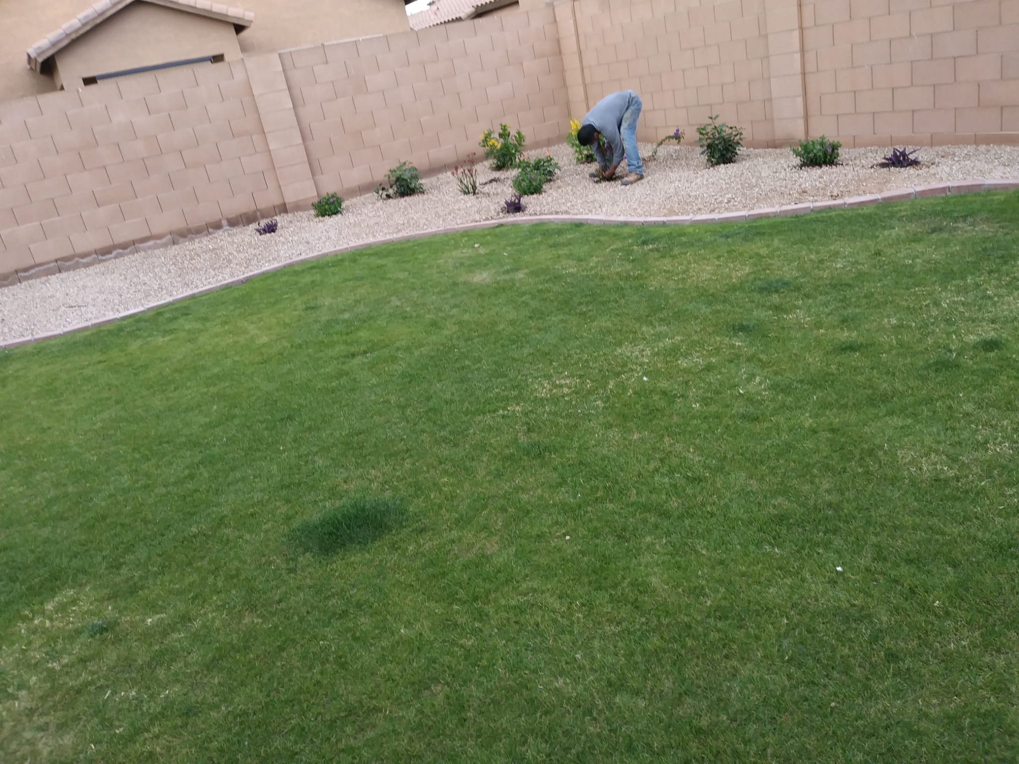 Grass installation project by Zion Landscaping Services