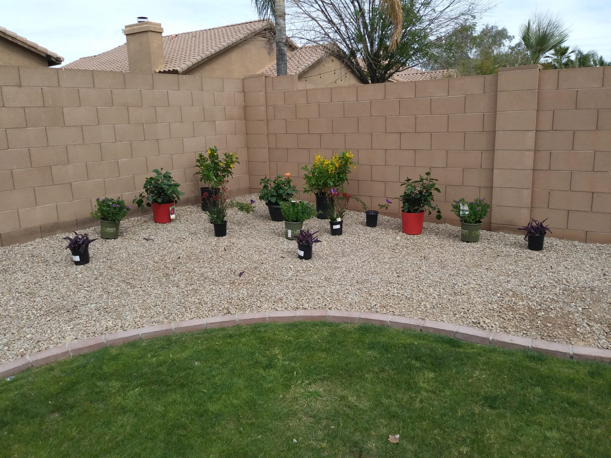 Grass installation project by Zion Landscaping Services