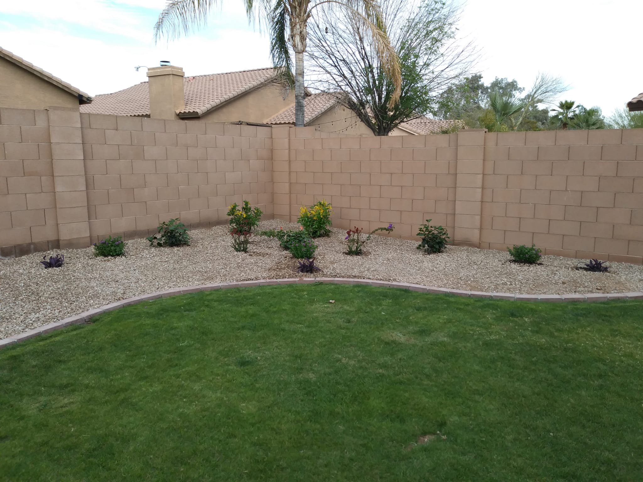 Grass installation project by Zion Landscaping Services