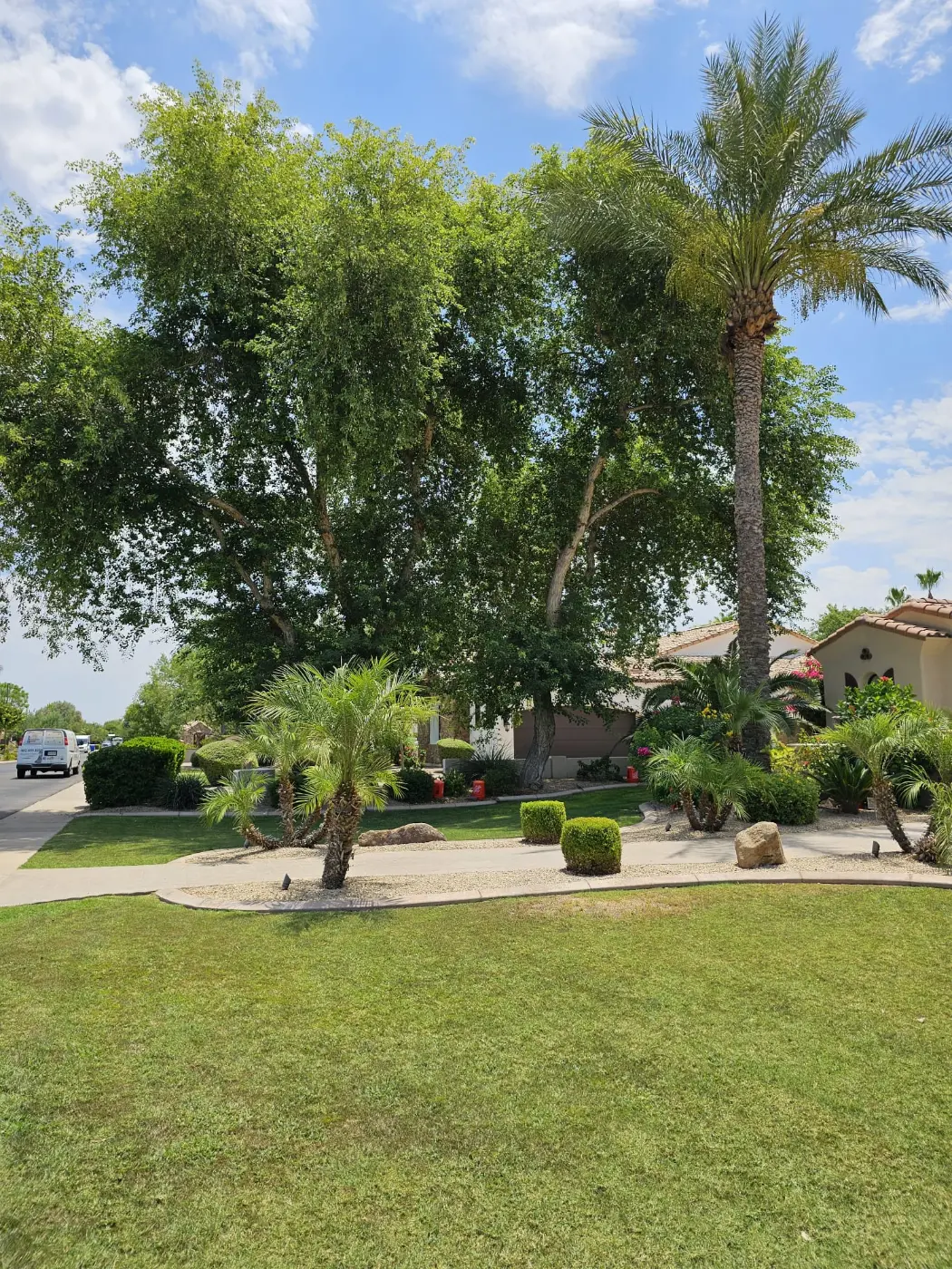 Green lawn and landscaped yard cared for by Zion Landscaping