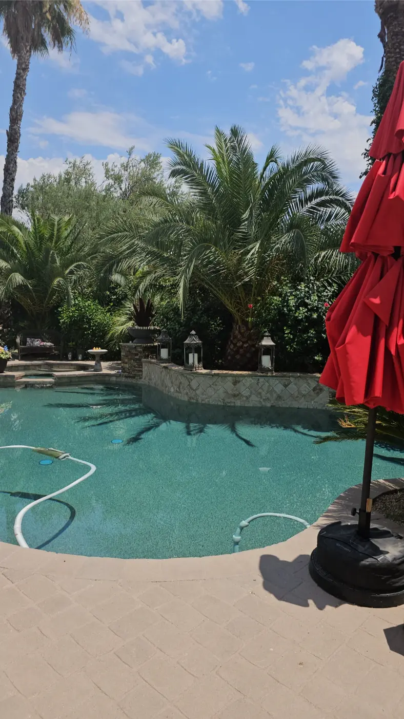 Palm cutting project by Zion Landscaping Services