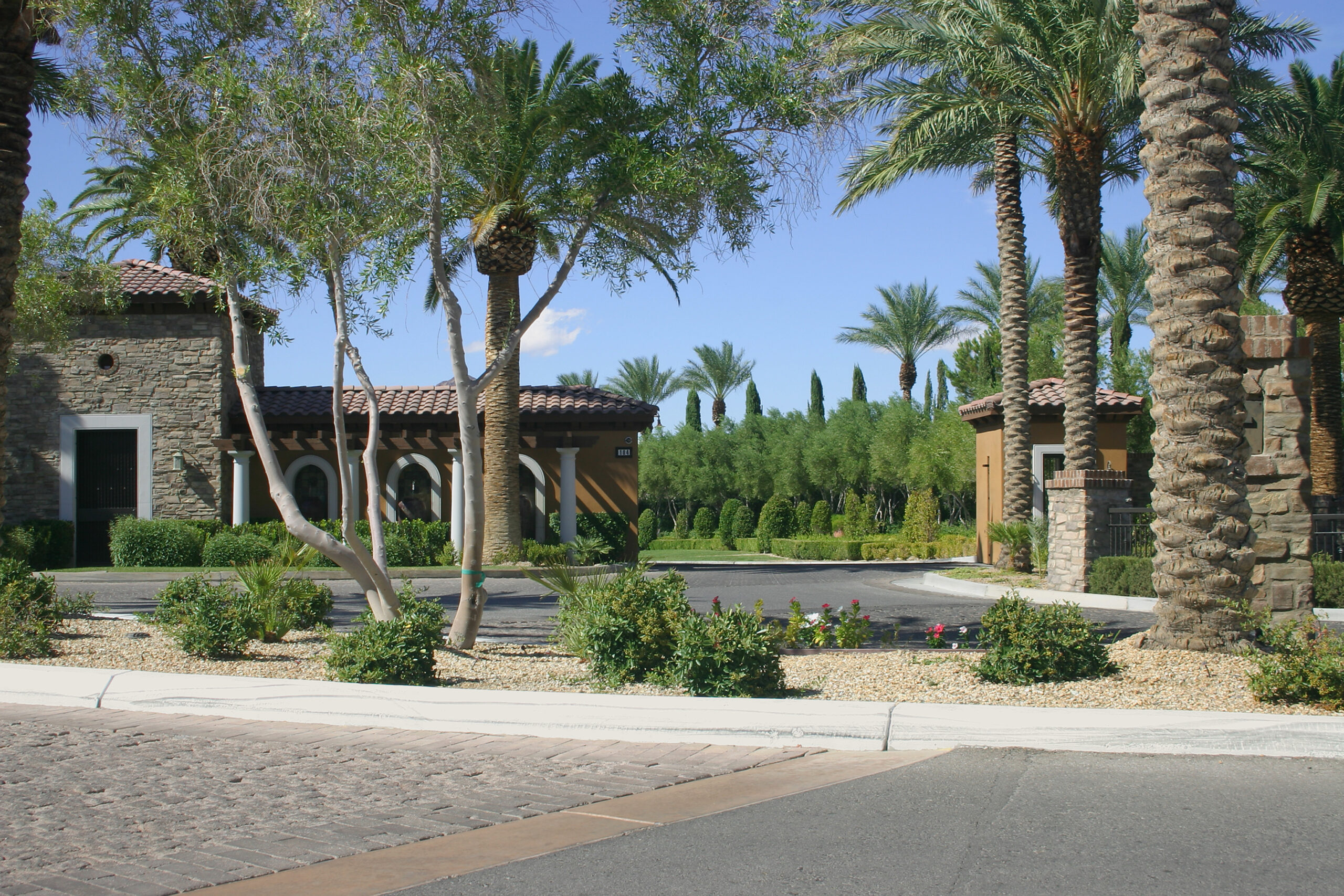 Tree trimming project by Zion Landscaping Services